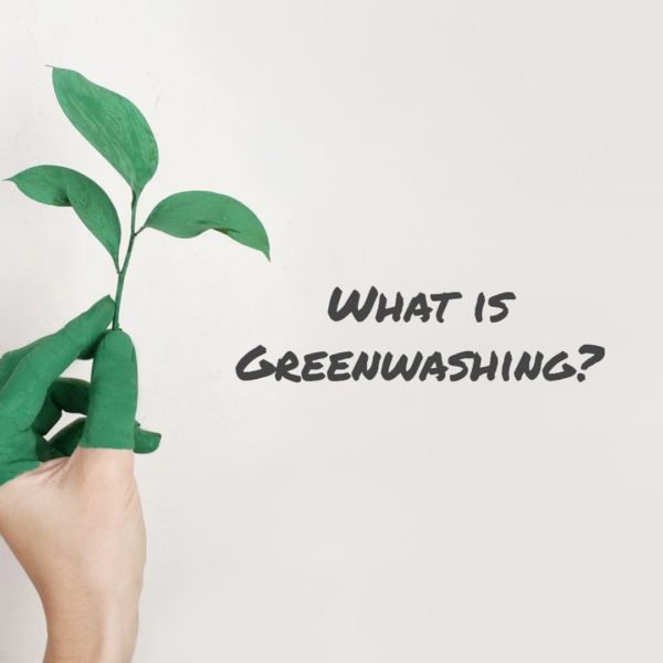 Green or Just Marketing? How to Identify Greenwashing in Clothing.